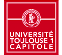 toulouse1